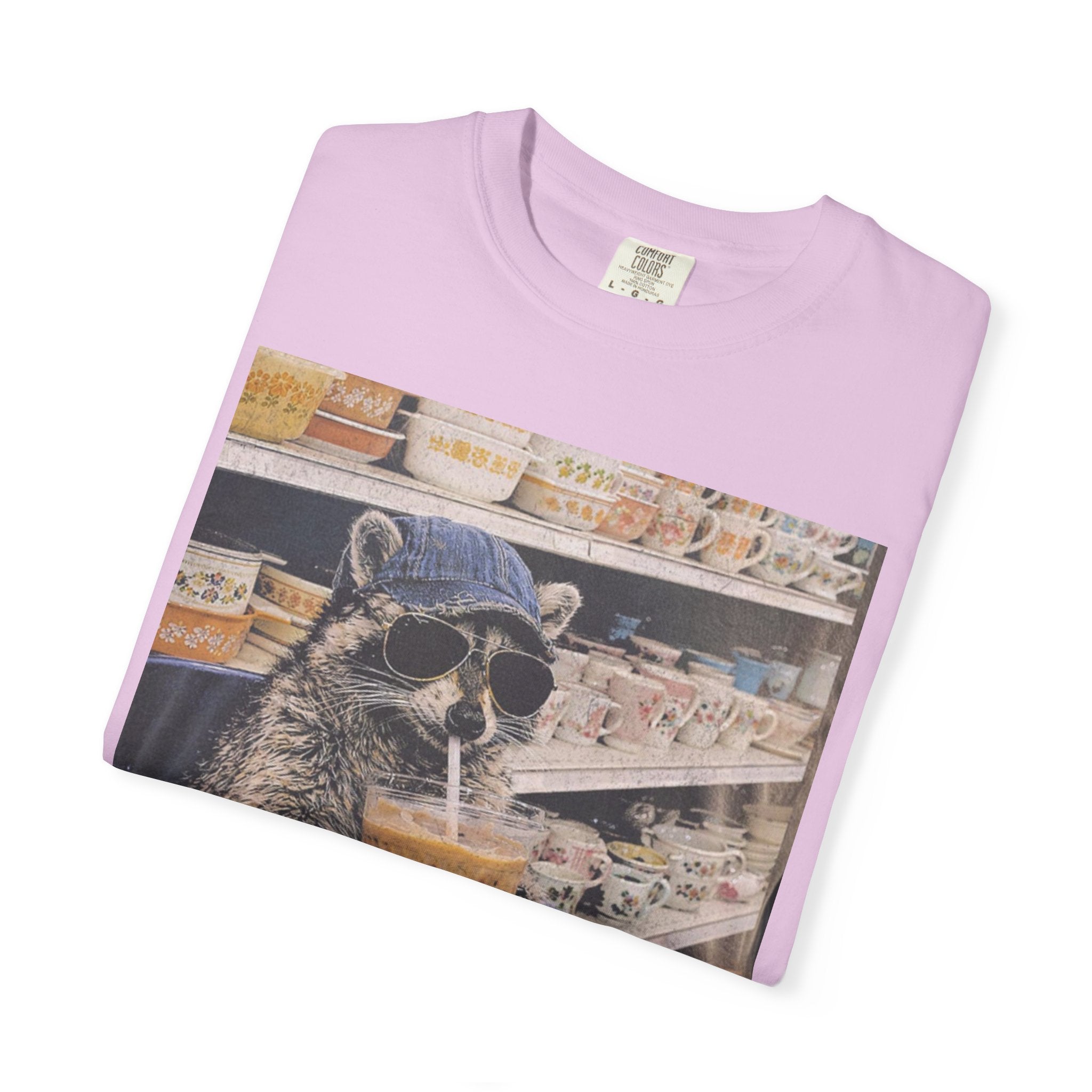 Raccoon Thrift Finds Tee — "I’d thrift that" Graphic T-Shirt