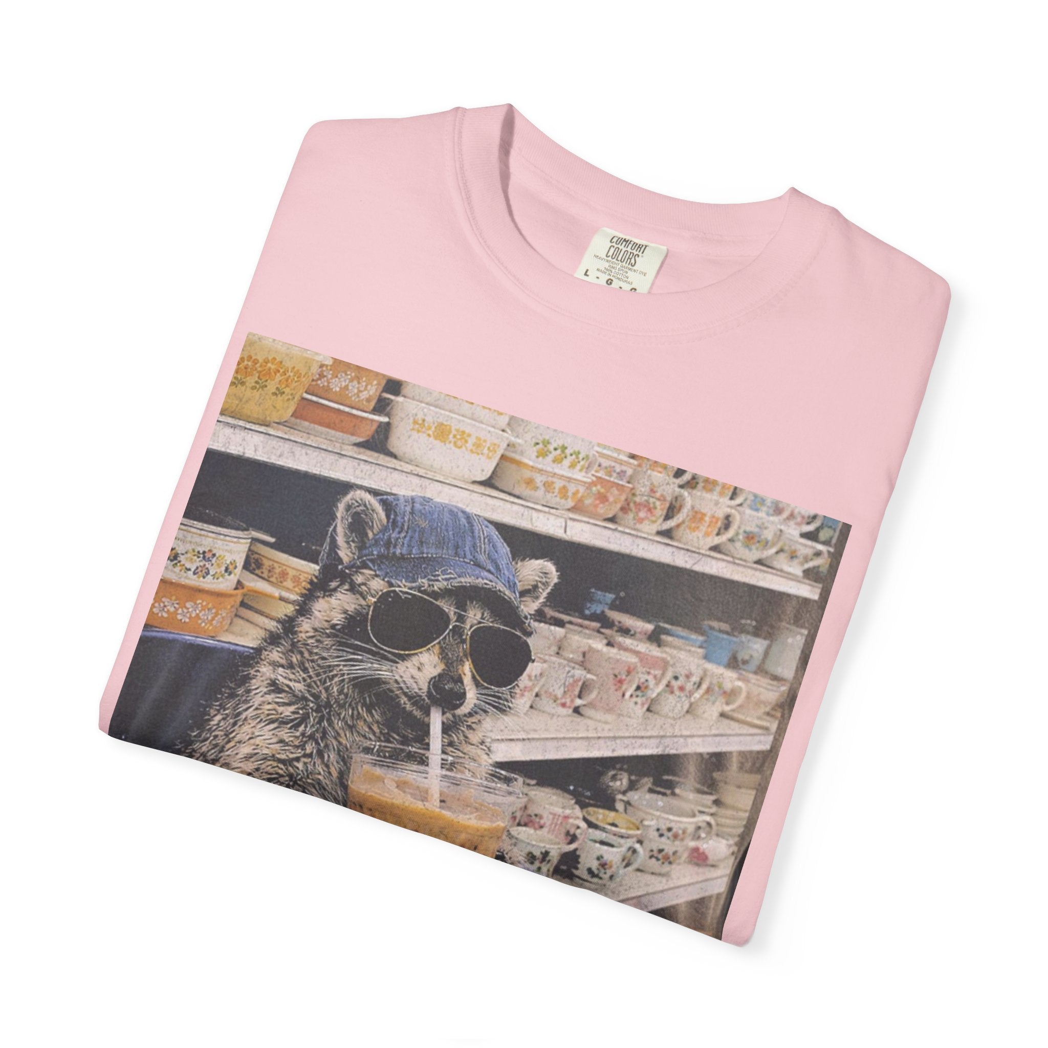 Raccoon Thrift Finds Tee — "I’d thrift that" Graphic T-Shirt